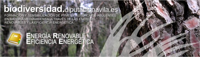 Formaci&oacute;n y Sensibilizaci&oacute;n de PYMES y Aut&oacute;nomos Abulenses en materia medioambiental a trav&eacute;s de las Energ&iacute;as Renovables y la Eficiencia Energ&eacute;tica