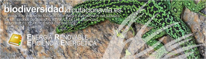Formaci&oacute;n y Sensibilizaci&oacute;n de PYMES y Aut&oacute;nomos Abulenses en materia medioambiental a trav&eacute;s de las Energ&iacute;as Renovables y la Eficiencia Energ&eacute;tica
