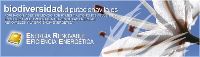Formaci&oacute;n y Sensibilizaci&oacute;n de PYMES y Aut&oacute;nomos Abulenses en materia medioambiental a trav&eacute;s de las Energ&iacute;as Renovables y la Eficiencia Energ&eacute;tica