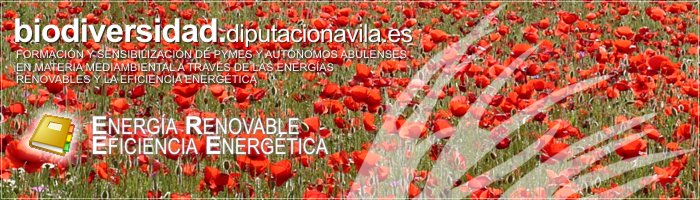 Formaci&oacute;n y Sensibilizaci&oacute;n de PYMES y Aut&oacute;nomos Abulenses en materia medioambiental a trav&eacute;s de las Energ&iacute;as Renovables y la Eficiencia Energ&eacute;tica