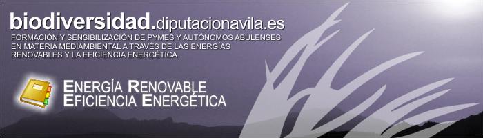 Formaci&oacute;n y Sensibilizaci&oacute;n de PYMES y Aut&oacute;nomos Abulenses en materia medioambiental a trav&eacute;s de las Energ&iacute;as Renovables y la Eficiencia Energ&eacute;tica