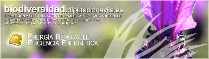 Formaci&oacute;n y Sensibilizaci&oacute;n de PYMES y Aut&oacute;nomos Abulenses en materia medioambiental a trav&eacute;s de las Energ&iacute;as Renovables y la Eficiencia Energ&eacute;tica