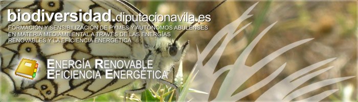 Formaci&oacute;n y Sensibilizaci&oacute;n de PYMES y Aut&oacute;nomos Abulenses en materia medioambiental a trav&eacute;s de las Energ&iacute;as Renovables y la Eficiencia Energ&eacute;tica