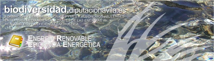 Formaci&oacute;n y Sensibilizaci&oacute;n de PYMES y Aut&oacute;nomos Abulenses en materia medioambiental a trav&eacute;s de las Energ&iacute;as Renovables y la Eficiencia Energ&eacute;tica