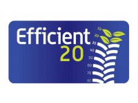 Efficient20