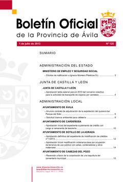 Boletín Oficial de la Provincia del lunes, 1 de julio de 2013