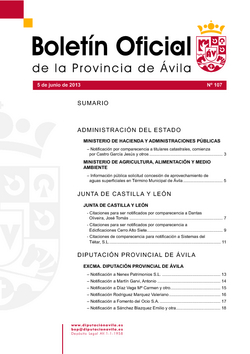 Boletín Oficial de la Provincia del martes, 4 de junio de 2013