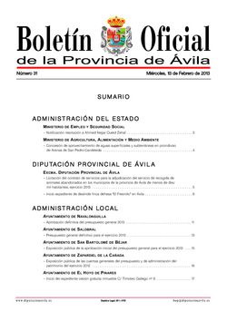 Boletín Oficial de la Provincia del miércoles, 13 de febrero de 2013