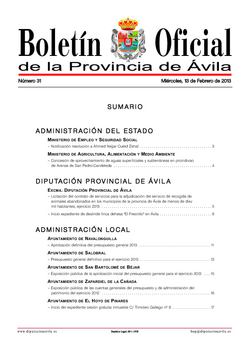 Boletín Oficial de la Provincia del miércoles, 13 de febrero de 2013