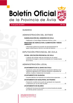 Boletín Oficial de la Provincia del jueves, 13 de junio de 2013