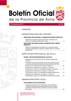 Boletín Oficial de la Provincia del lunes, 15 de julio de 2013
