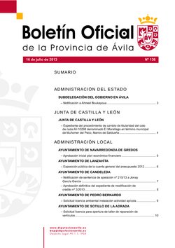 Boletín Oficial de la Provincia del martes, 16 de julio de 2013