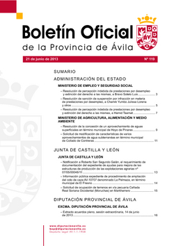 Boletín Oficial de la Provincia del viernes, 21 de junio de 2013