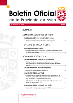 Boletín Oficial de la Provincia del viernes, 26 de abril de 2013