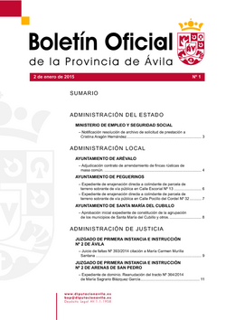 Boletín Oficial de la Provincia del viernes, 2 de enero de 2015