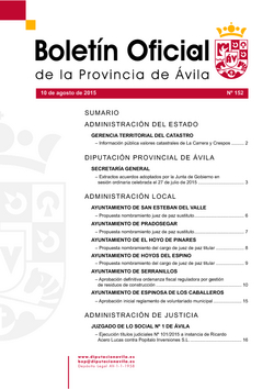 Boletín Oficial de la Provincia del lunes, 10 de agosto de 2015