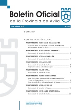 Boletín Oficial de la Provincia del lunes, 1 de julio de 2019