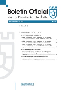 Boletín Oficial de la Provincia del lunes, 4 de noviembre de 2019