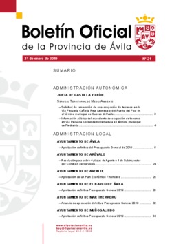 Boletín Oficial de la Provincia del jueves, 31 de enero de 2019