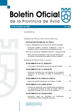 Boletín Oficial de la Provincia del viernes, 13 de noviembre de 2020