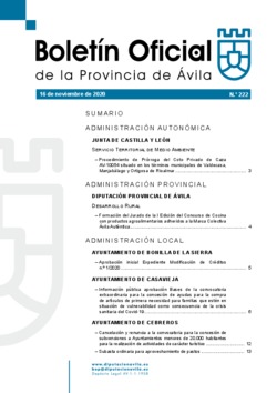 Boletín Oficial de la Provincia del lunes, 16 de noviembre de 2020