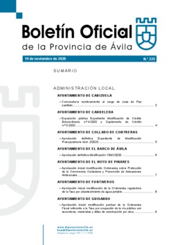 Boletín Oficial de la Provincia del jueves, 19 de noviembre de 2020