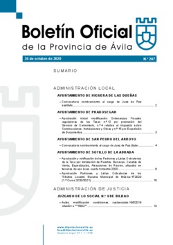 Boletín Oficial de la Provincia del lunes, 26 de octubre de 2020