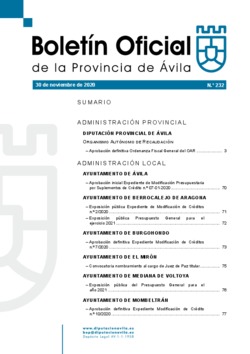 Boletín Oficial de la Provincia del lunes, 30 de noviembre de 2020