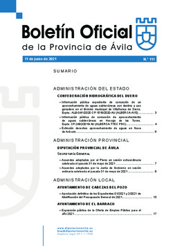 Boletín Oficial de la Provincia del viernes, 11 de junio de 2021
