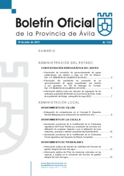 Boletín Oficial de la Provincia del lunes, 19 de julio de 2021