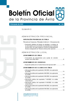 Boletín Oficial de la Provincia del viernes, 10 de junio de 2022