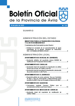 Boletín Oficial de la Provincia del lunes, 18 de julio de 2022