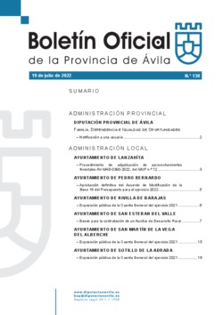 Boletín Oficial de la Provincia del martes, 19 de julio de 2022