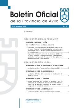 Boletín Oficial de la Provincia del viernes, 12 de enero de 2024