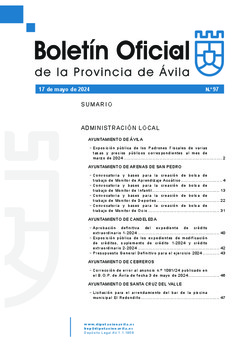 Boletín Oficial de la Provincia del viernes, 17 de mayo de 2024