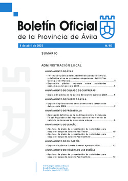 Boletín Oficial de la Provincia del viernes, 4 de abril de 2025