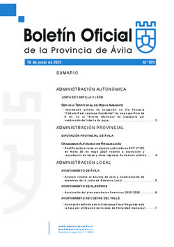 Boletín Oficial de la Provincia del lunes, 9 de junio de 2025