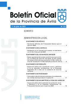 BOP Viernes, 11 de julio de 2025