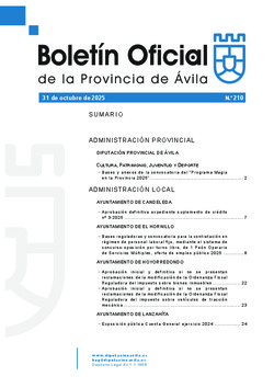 BOP Viernes, 31 de octubre de 2025