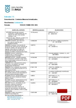 Contratos menores formalizados el 3º trimestre de 2025.