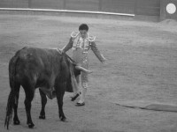 Corrida Beneficencia 2010