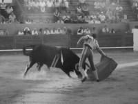 Corrida Beneficencia 2010