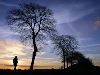 Exposición Extraordinaria de Amigos del Camino de Santiago