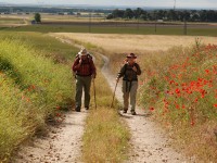 Amigos del Camino de Santiago