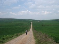 Amigos del Camino de Santiago