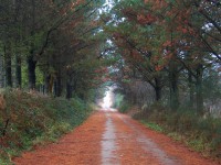 Amigos del Camino de Santiago