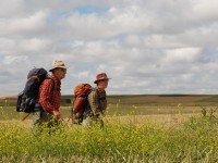 Amigos del Camino de Santiago