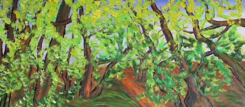 Autor: Manuel F. Gochi