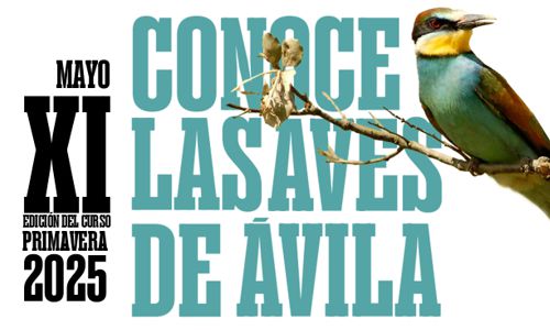 Conoce las Aves de Ávila - Primavera 2025