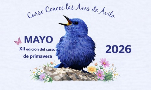 Conoce las Aves de &Aacute;vila - Primavera 2026